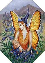 Larkspur Fairy