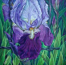 Iris Painting